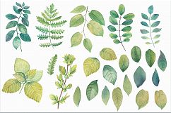 Hydrangea Watercolor Flowers Product Image 6