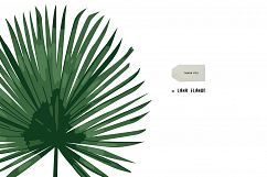 TROPICANA: tropical leaves &amp; patterns collection Product Image 7