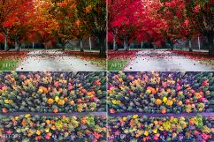 Autumn Lr Presets Product Image 2