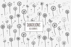 Dandelions Product Image 1