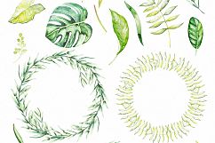 Watercolor Tropical Foliage Product Image 2