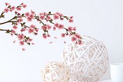 Sakura japan cherry branch with blooming flowers Product Image 3