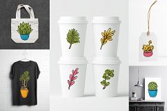 Succulents 14 vector illustrations Product Image 3