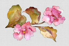 Tropical pink gardenia PNG watercolor flower set Product Image 2