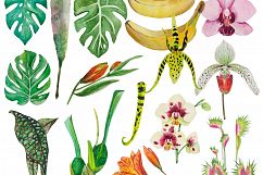 Tropical set Product Image 3