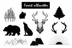 Wild Forest graphic pack Product Image 3