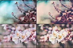 35 Flowering Spring Lightroom Presets Product Image 2