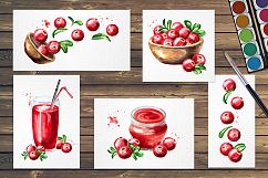 Cranberry. Watercolor collection Product Image 5
