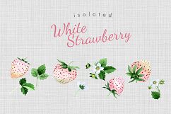 White Strawberry PNG watercolor fruit set Product Image 5