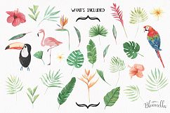 Watercolor Tropical Clipart Elements Flowers Floral Hibiscus Flamingo Set Product Image 5