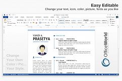 Clean Simple Resume / CV Product Image 4