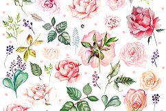 Hand Drawn Watercolor BUNDLE 4 Product Image 5