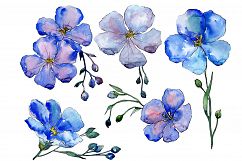 Wildflower blue flax PNG watercolor set Product Image 1