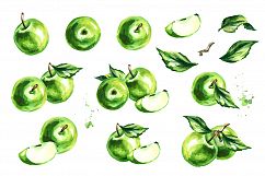 Green Apple. Watercolor collection Product Image 2
