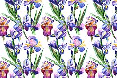 Irises PNG watercolor flowers set Product Image 4