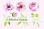 Watercolor Peonies Clip Art Set Product Image 3