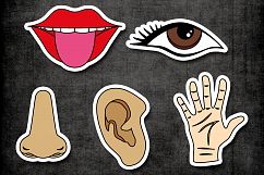 Five senses clipart / tongue mouth, nose, ear, eye, hand Product Image 2