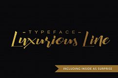 Glamorous Silhouette Font Product Image 9