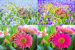 Spring Lr Presets Product Image 4