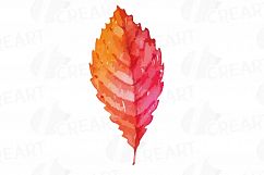 Autumn leafs watercolor clip art pack, watercolor fall frame Product Image 13