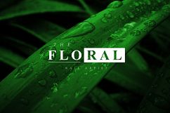 Minimal Premade Logo Bundle V02 Product Image 12