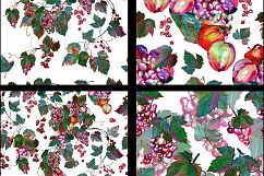 Watercolor grape set + Bonus 4 BG. Product Image 11