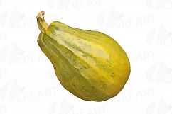 Watercolor pumpkin clip art pack, Pumpkin plant and flowers Product Image 7