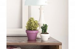 Styled Stock Photography, Frame Mockup, white Frame mockup, Styled Photography Mockup, stock photo Product Image 3