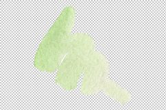 Wildflower burgundy Brugmansia PNG watercolor set Product Image 4