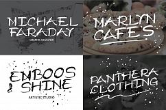 Champagne Typeface Product Image 2