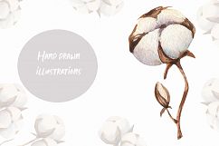 Watercolour Cotton clipart, branches winter watercolor Product Image 4