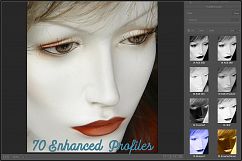 Infrared Monochrome Master Profiles LR7.3 ACR10.3 Product Image 2