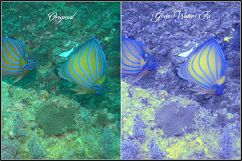 Dive Fix &amp; HDR LUTs Product Image 9