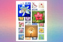 Flowers Printable, Floral Digital, Elegant, Minimalist Product Image 2