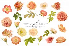 Petals &amp; Paint - Floral Clip Art Product Image 2