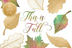Autumn &amp; Fall Leaves Clipart Set Product Image 1