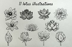 Lotus illustrations and seamless patterns Illustrations  Product Image 4