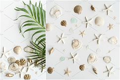 Summer Photo Bundle - Seashells Product Image 3
