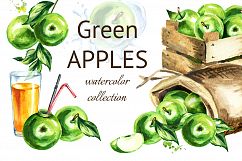 Green Apple. Watercolor collection Product Image 1