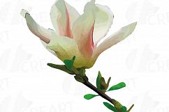 Watercolor Pink Magnolia flower and leaf clip art pack, magnolias clip art. PNG, jpg, svg, vector illustrator &amp; corel files included Product Image 5
