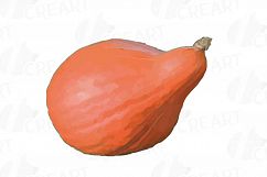 Watercolor pumpkin clip art pack, Pumpkin plant and flowers Product Image 22