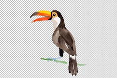 Tropical bird toucan PNG watercolor set Product Image 3