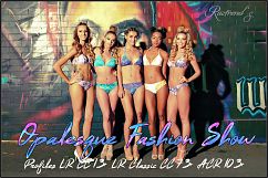 Opalesque Fashion Show Profiles LR 7.3 ACR 10.3 Product Image 1