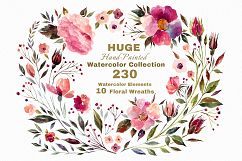 230 Watercolor graphic elements Product Image 1