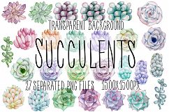 Succulents. Watercolor clip art Product Image 3