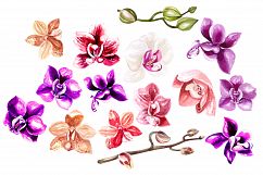 Hand Drawn Watercolor Orchids 2 Product Image 9