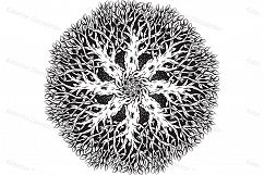 A collection of round hand-drawn patterns Product Image 13