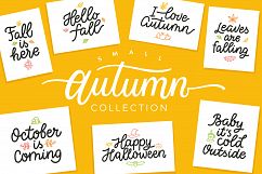 Autumn Collection, vector letterings Product Image 1