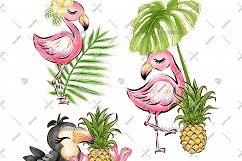 Flamingo &amp; Toucan Cliparts Product Image 3
