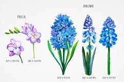Spring flowers. Watercolor. Product Image 3